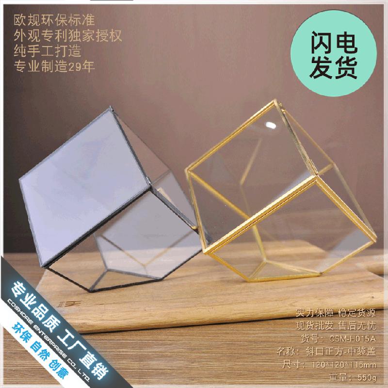 Nhà kính vuông nghiêng mini (DG-35)