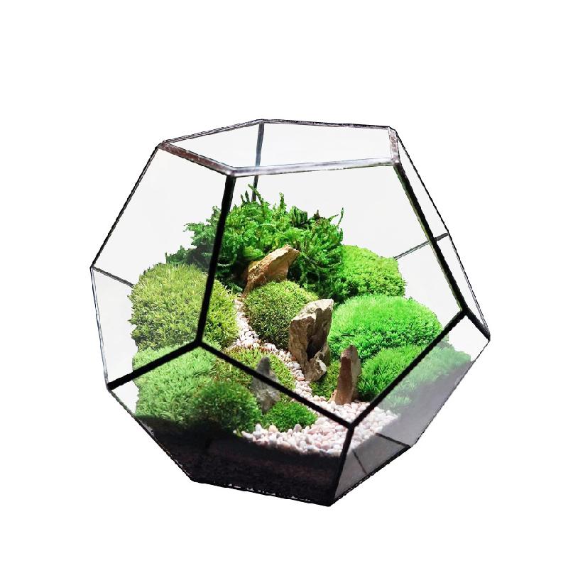 DG-29 Nhà máy trực tiếp bán bậc nhất mẫu 12 mặt kính lớn, phòng hoa kính xanh, sáng tạo, thực vật mọc, cảnh quan nhỏ, đa thực vật