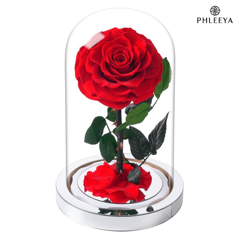 Hộp gương Hoàng tử bé hoa hồng vĩnh cửu quà Valentine (HK-83)
