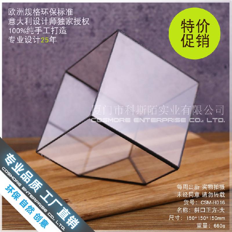 Nhà kính vuông rêu cảnh (DG-24)
