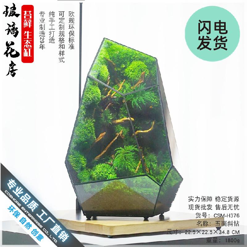 Nhà kính Terrarium hình học DIY (DG-59)