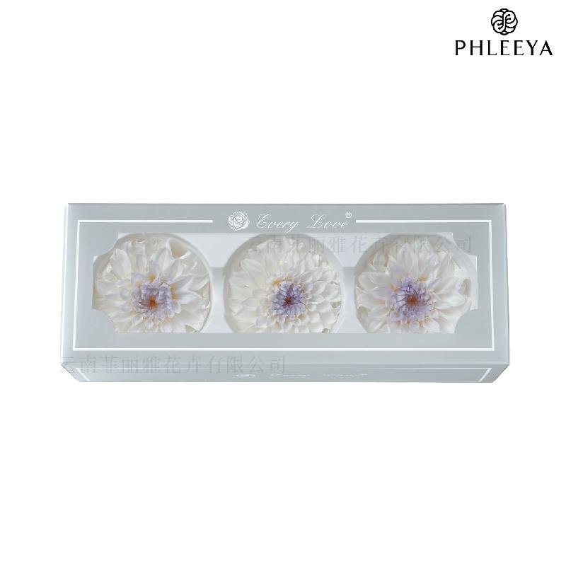 Hoa thược dược vĩnh cửu 7–8cm chuyển màu DIY hoa trang trí cưới (HK-21)