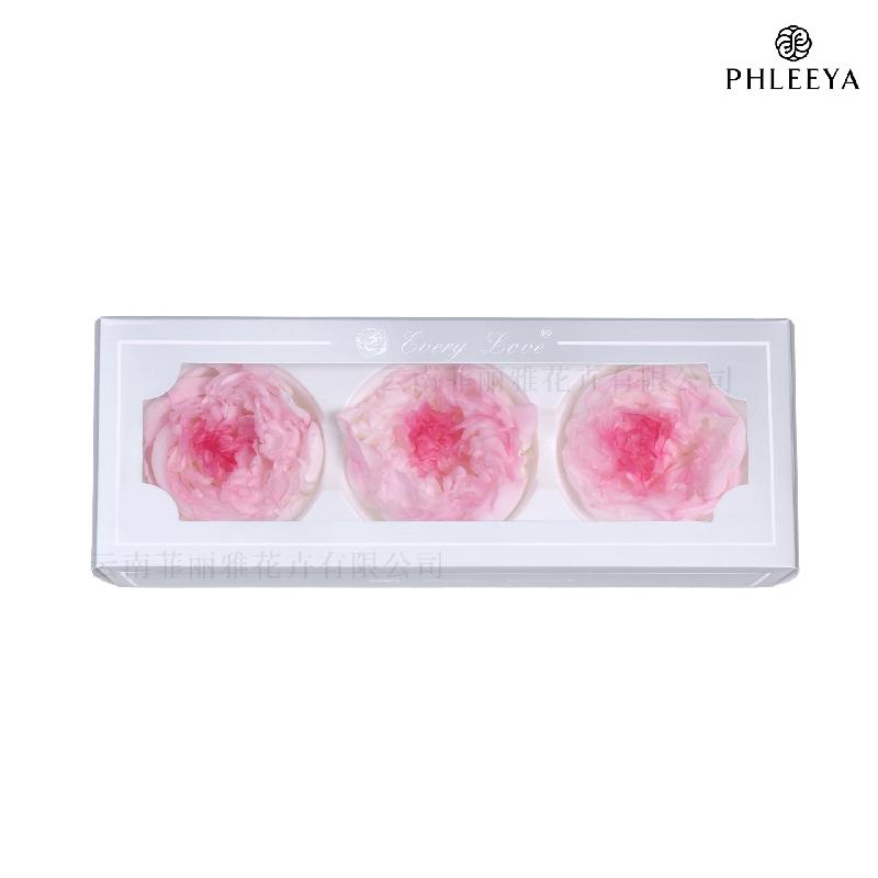 Hoa mẫu đơn vĩnh cửu 7–8cm 3 bông hạng A DIY hoa trang trí (HK-24)