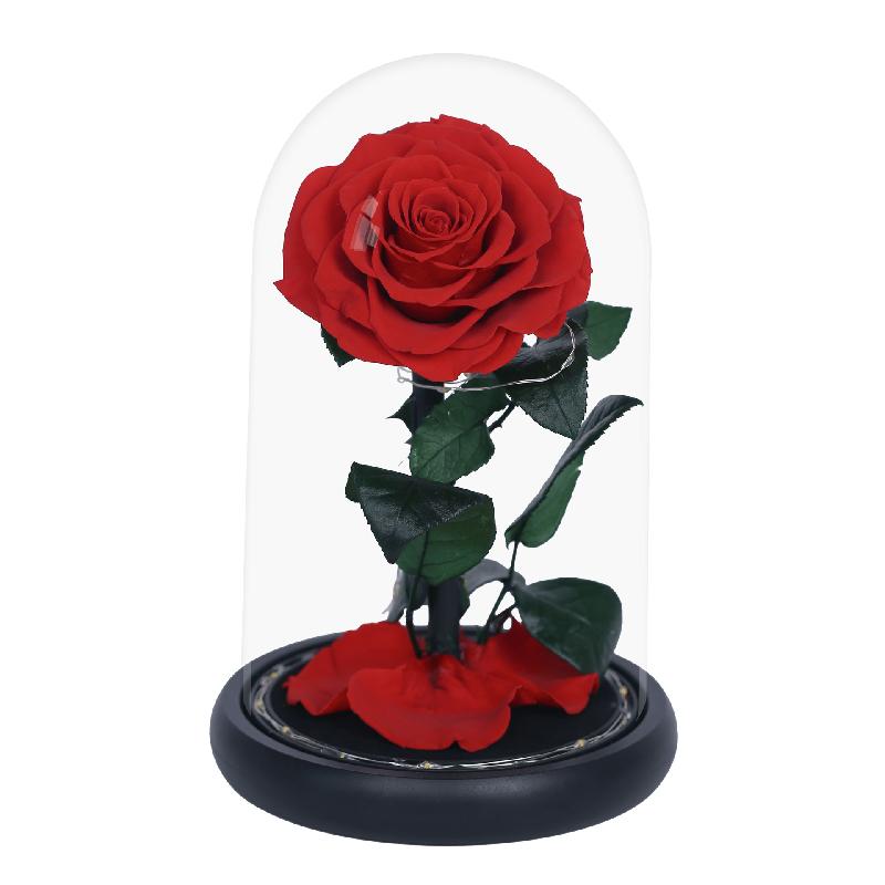 Hoa hồng vĩnh cửu hộp mica Hoàng tử bé quà Thất Tịch Valentine (HK-42)