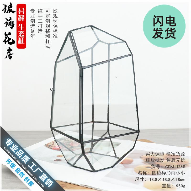 Bể Terrarium rừng mưa mini (DG-45)