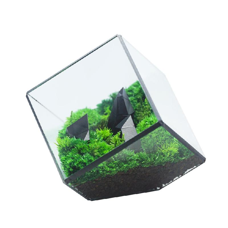 DG-53 Hộp kính thủy tinh có nắp với cây thực vật mọc mịn, thảo mộc vật phẩm nhỏ, hoa bền vững nhỏ