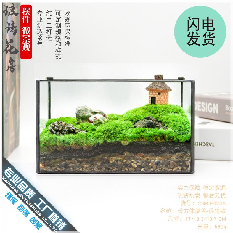 DG-9 Hộp nhỏ cảnh quan sinh thái bọt xanh tím