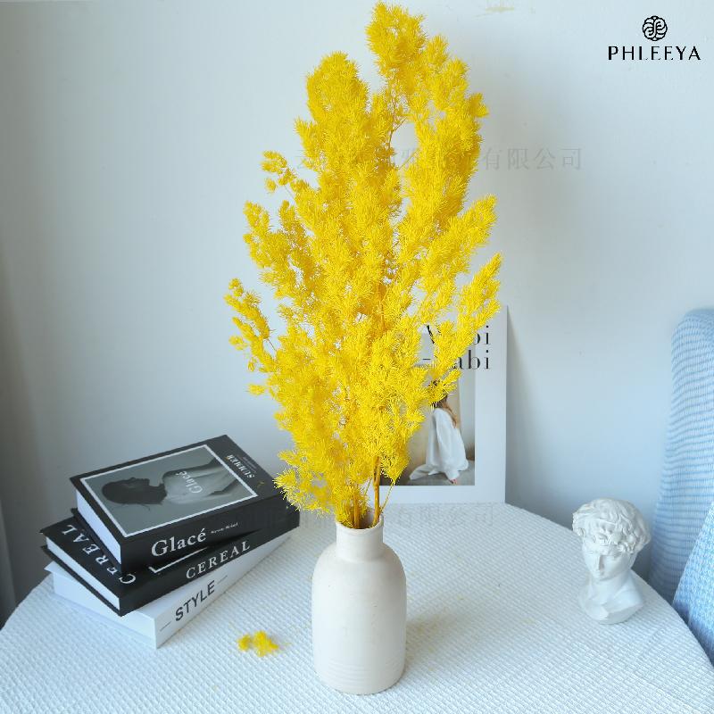 Lá tùng Bồng Lai vĩnh cửu DIY hoa khô cắm bình lồng kính (HK-43)