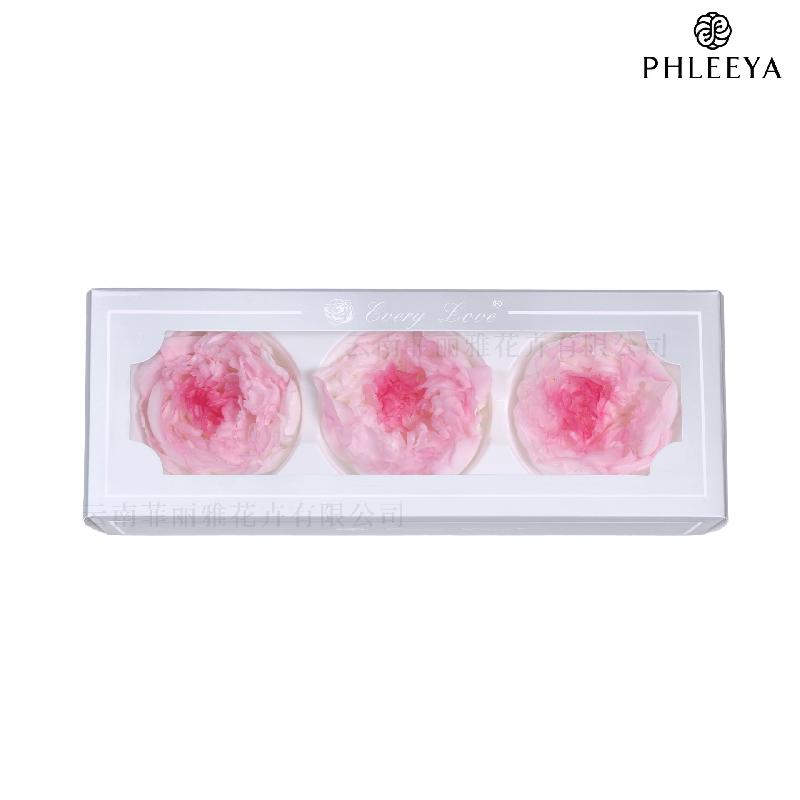 Hoa mẫu đơn vĩnh cửu 7–8cm 3 bông hạng A DIY hoa trang trí (HK-24)