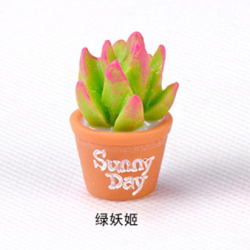 Tiểu cảnh đa dạng cây mọng nước, trang trí cây cảnh DIY (ZC-445)