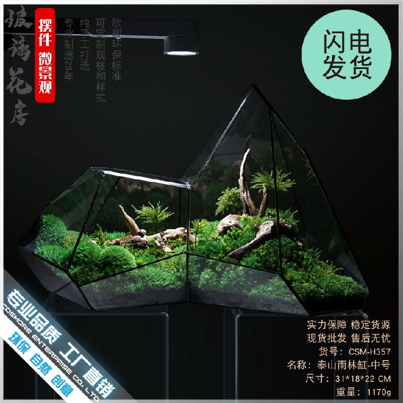 DG-6 Các cảnh quan nhỏ, rừng mây tảo, hình học rừng, tường kính, phòng hoa không đều, chai sinh thái không đều, các hộp cây thực vật nhiều thịt, các hộp cây cỏ nước và các bình hoa