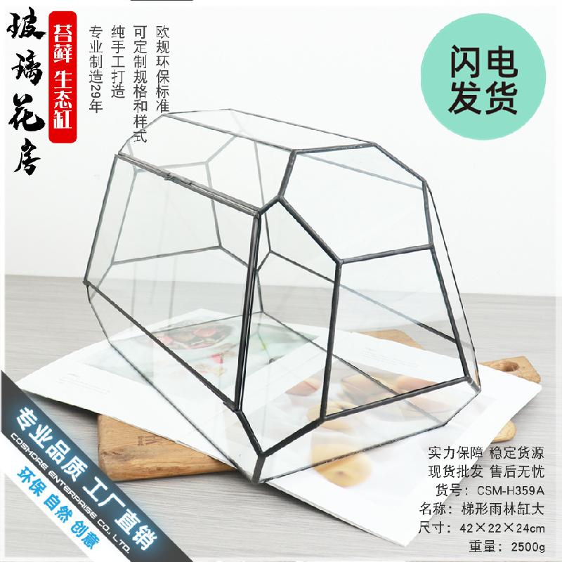 Bể kính thủy sinh Terrarium, bể rừng mưa mini (DG-56)