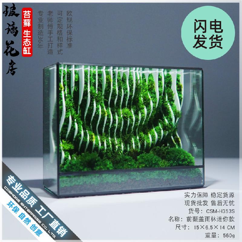 Bể kính rêu cảnh thủy sinh (DG-25)