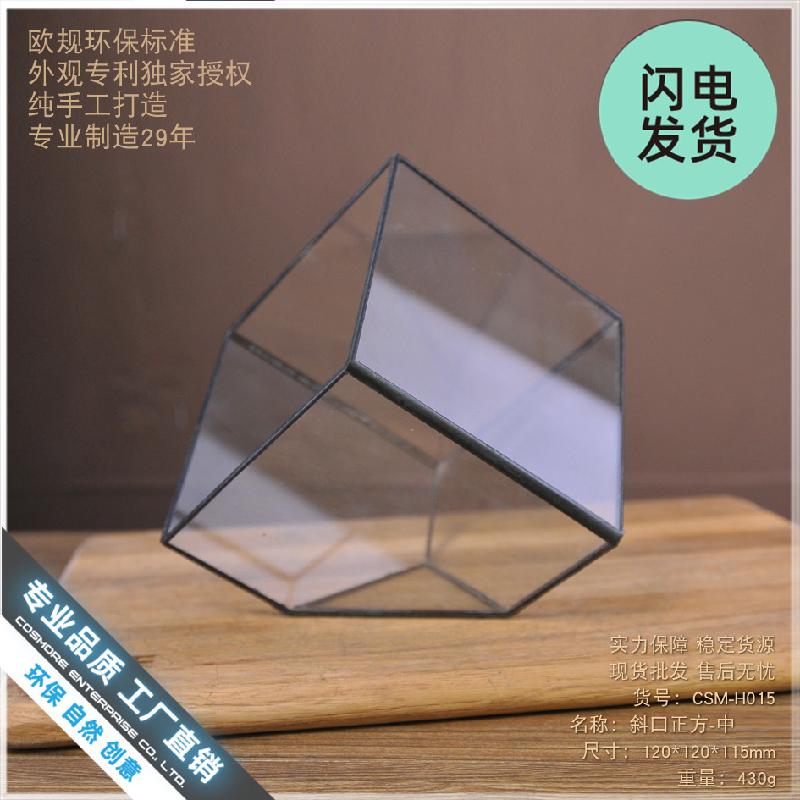 Nhà kính vuông Terrarium hoa bất tử (DG-227)