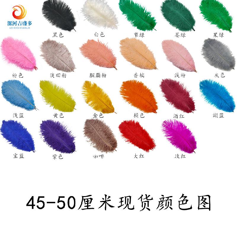 Lông đà điểu trắng từ 15-80cm, lý tưởng cho trang trí sân khấu và sự kiện. Cung cấp số lượng lớn cho đám cưới và DIY. Sẵn có hàng, mua bán buôn.