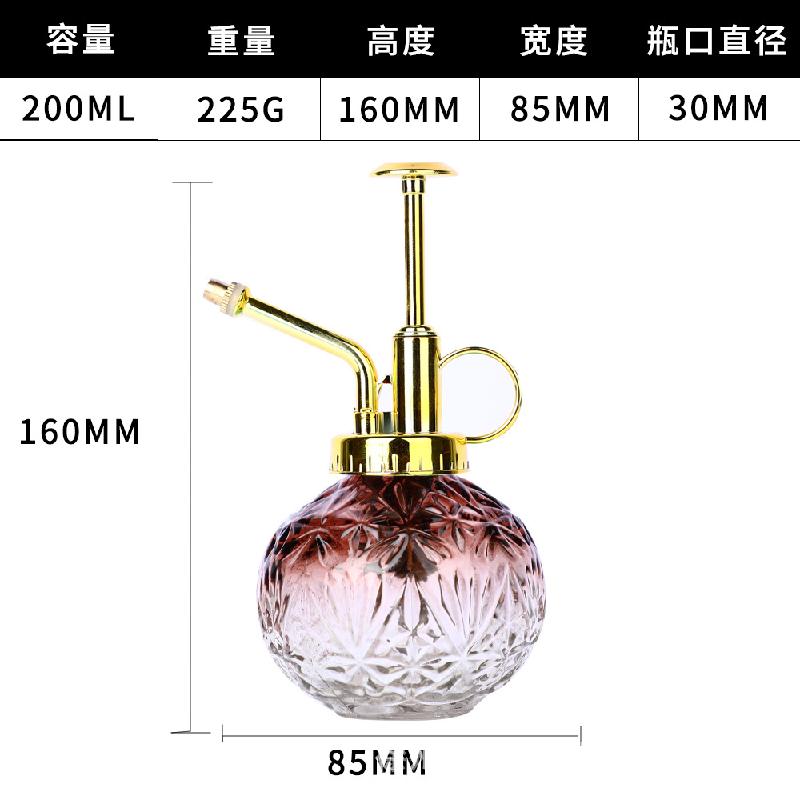金头+咖啡色