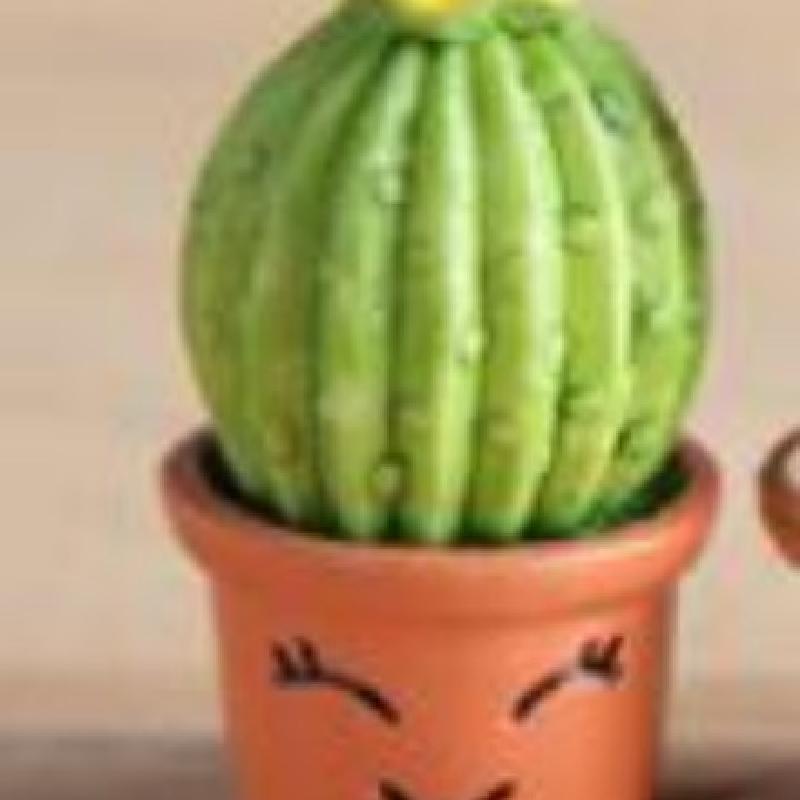 Tiểu cảnh chậu xương rồng nhỏ, trang trí bàn làm việc mini (ZC-333)