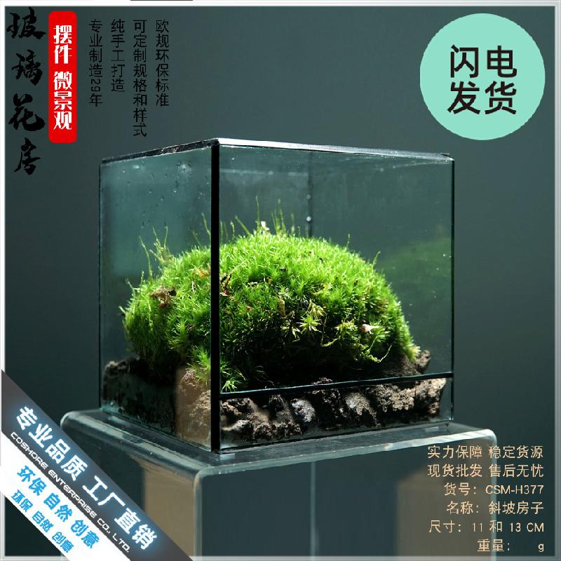 Hộp kính tiểu cảnh rừng mini (DG-23)