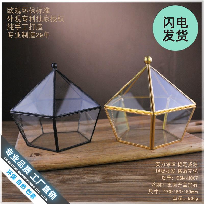 Nhà kính kim cương Terrarium mini (DG-20)