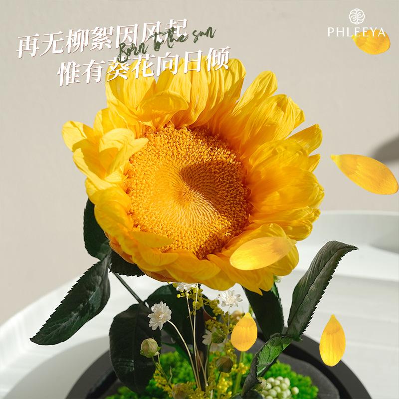 Hoa hồng và hướng dương vĩnh cửu lồng kính quà tặng cao cấp (HK-26)