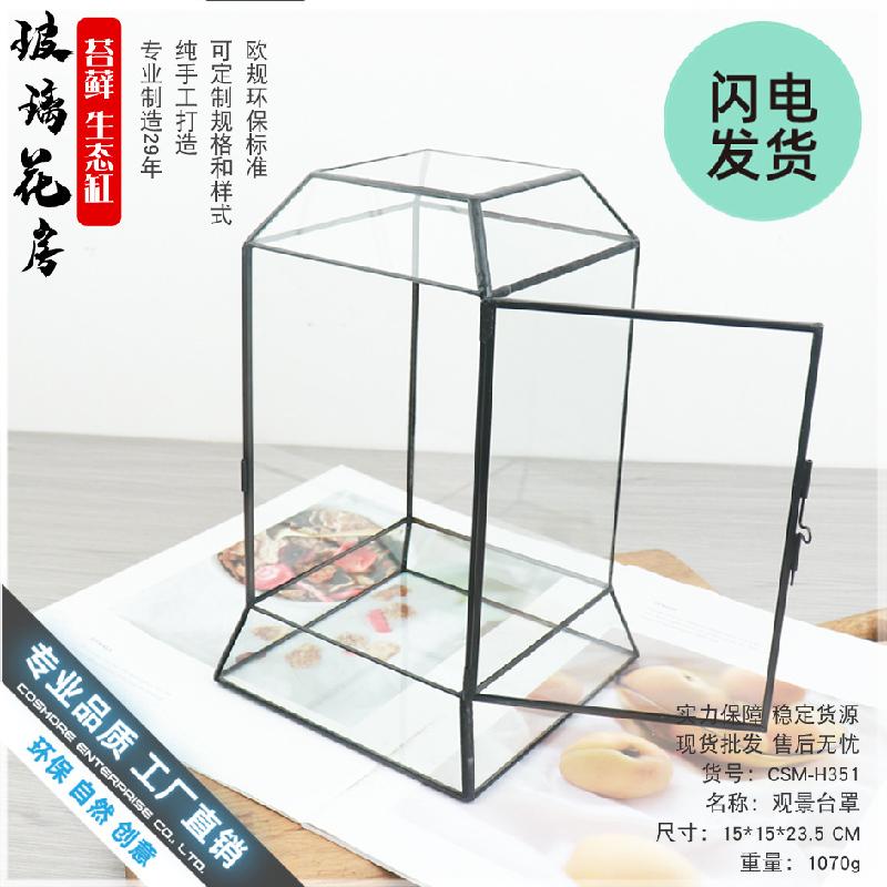 Bình sinh thái rêu cảnh DIY, bể rừng mini (DG-75)