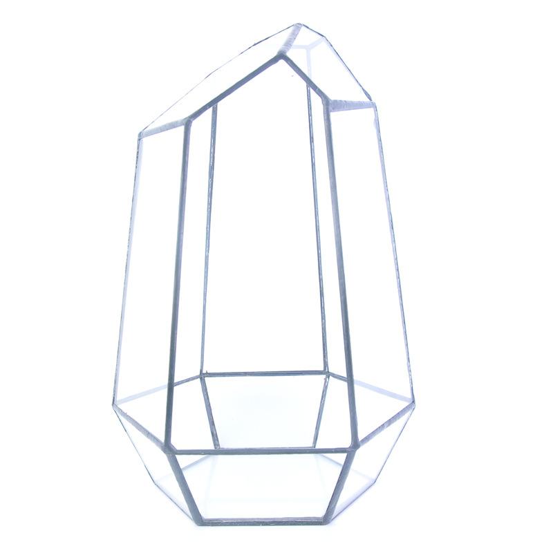 DG-8 Cây thực vật lá cứng, phòng kính thủy tinh, hộp sinh thái nhỏ, quà tặng sáng tạo và hàng loạt cắt lớn