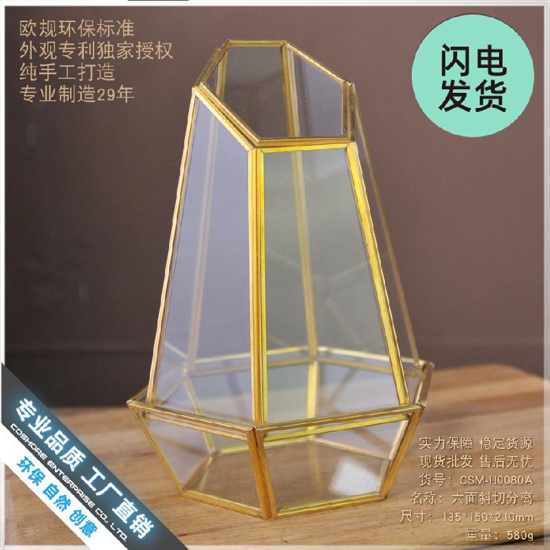 Nhà kính hình học viền đồng, hoa bất tử (DG-116)