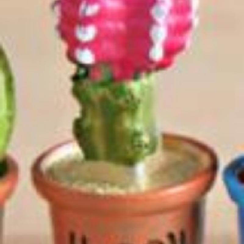 Tiểu cảnh chậu xương rồng nhỏ, trang trí bàn làm việc mini (ZC-333)