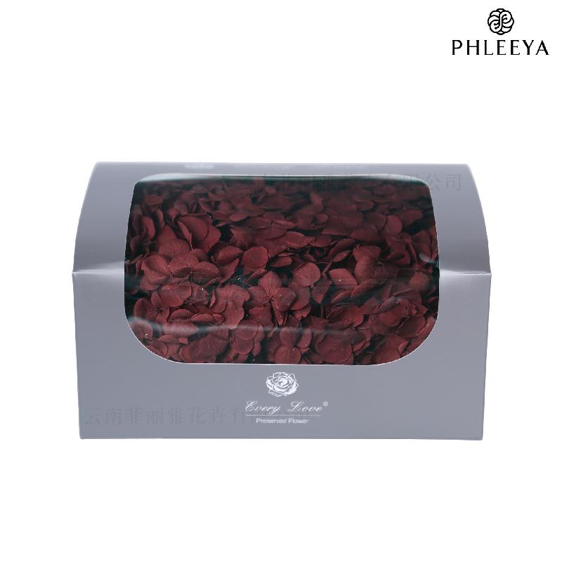 Cẩm tú cầu Anna vĩnh cửu 20g DIY hoa khô trang trí (HK-32)