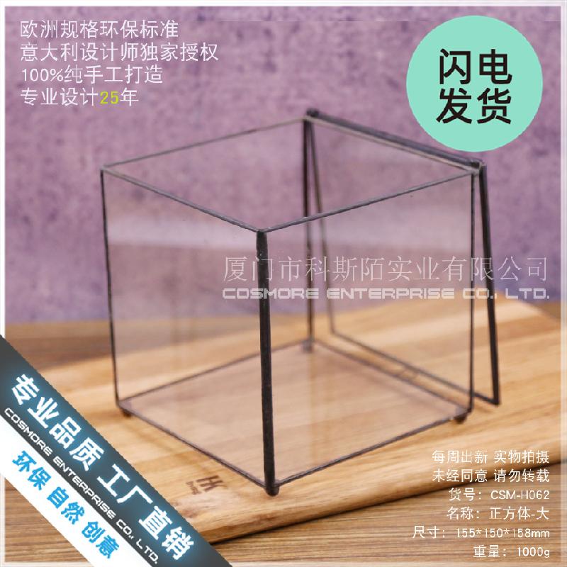 Nhà kính vuông lớn Terrarium (DG-41)
