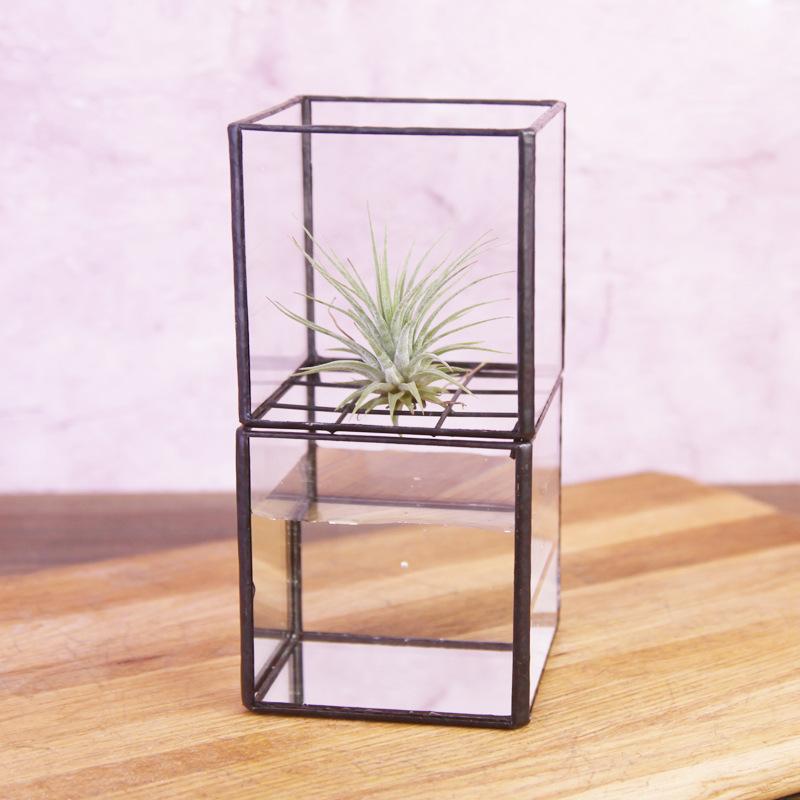 Chậu Đa Giác DG-72 Hộp cây phủ nước hai tầng với chai thủy tinh hiện đại đơn giản