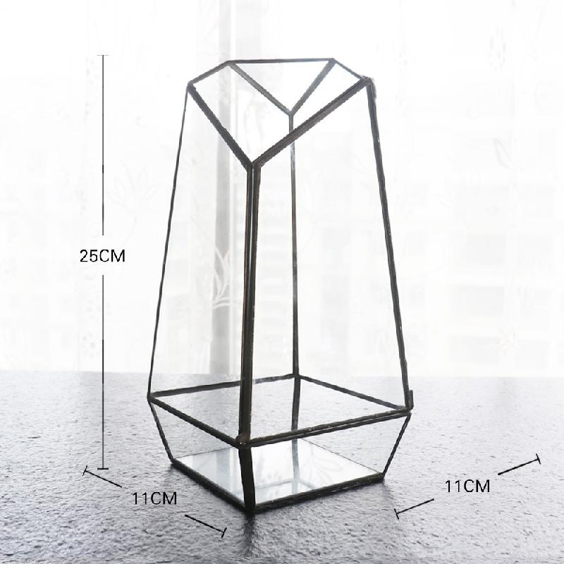 DG-1 Bình hoa hữu cơ sinh thể tế bào thảo mộc micro-landscape