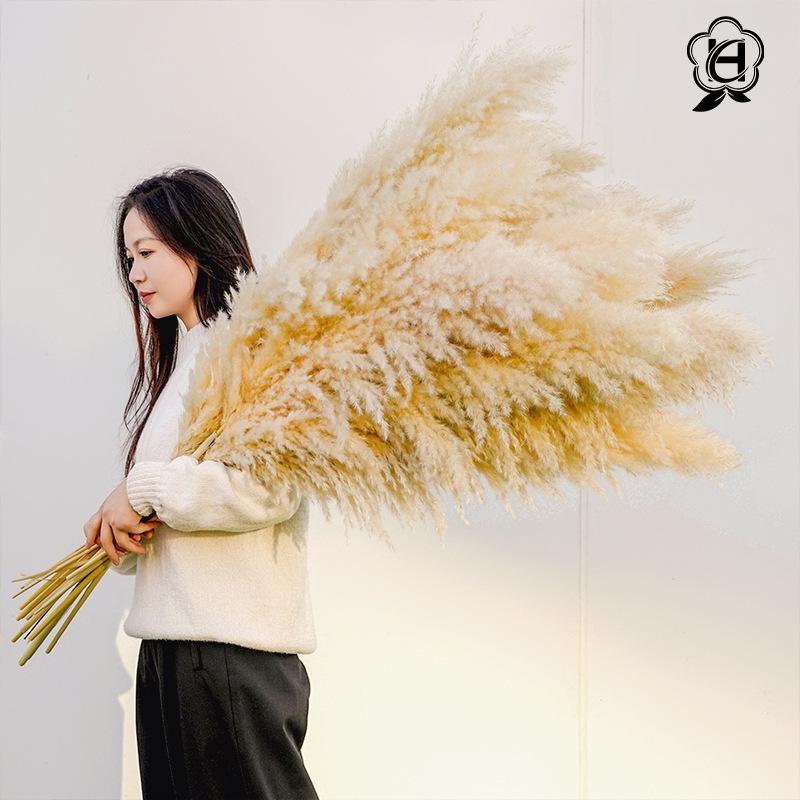 Cỏ lau Pampas khô bó hoa trang trí cưới phong cách châu Âu (HK-61)