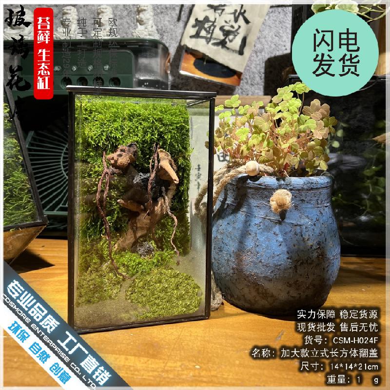 DG-4 Các cảnh quan nhỏ, rừng mưa, hộp sinh thái, cảnh quan tạo, hình hộp, kính, phòng hoa, sáng tạo, các bồn cây, hình vuông