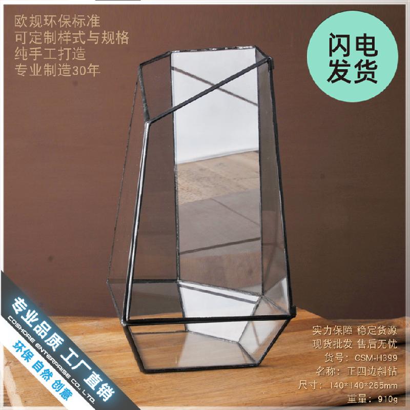 Bình sinh thái cây xanh mini (DG-10)