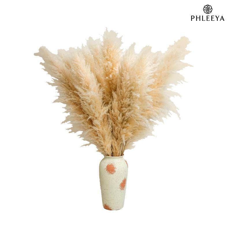 Cỏ lau Pampas khô bó hoa trang trí cưới phong cách châu Âu (HK-61)