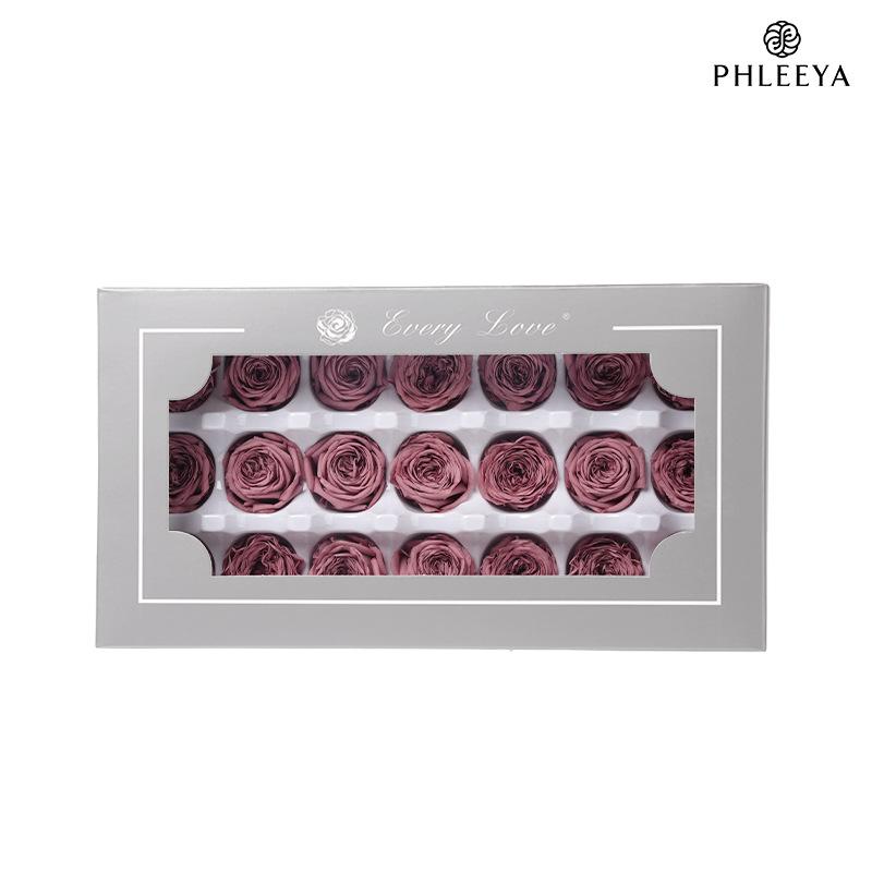 Hoa hồng Austin vĩnh cửu 2–3cm Chocolate Bubble DIY hoa khô (HK-15)