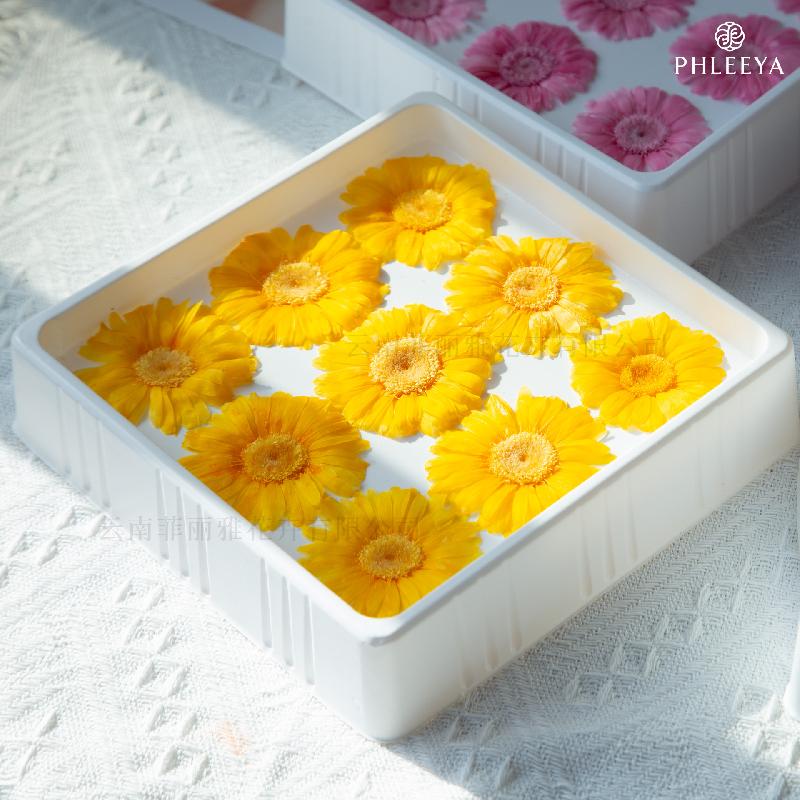 Hoa hồng vĩnh cửu phối đồng tiền DIY bó hoa quà tặng cao cấp (HK-13)