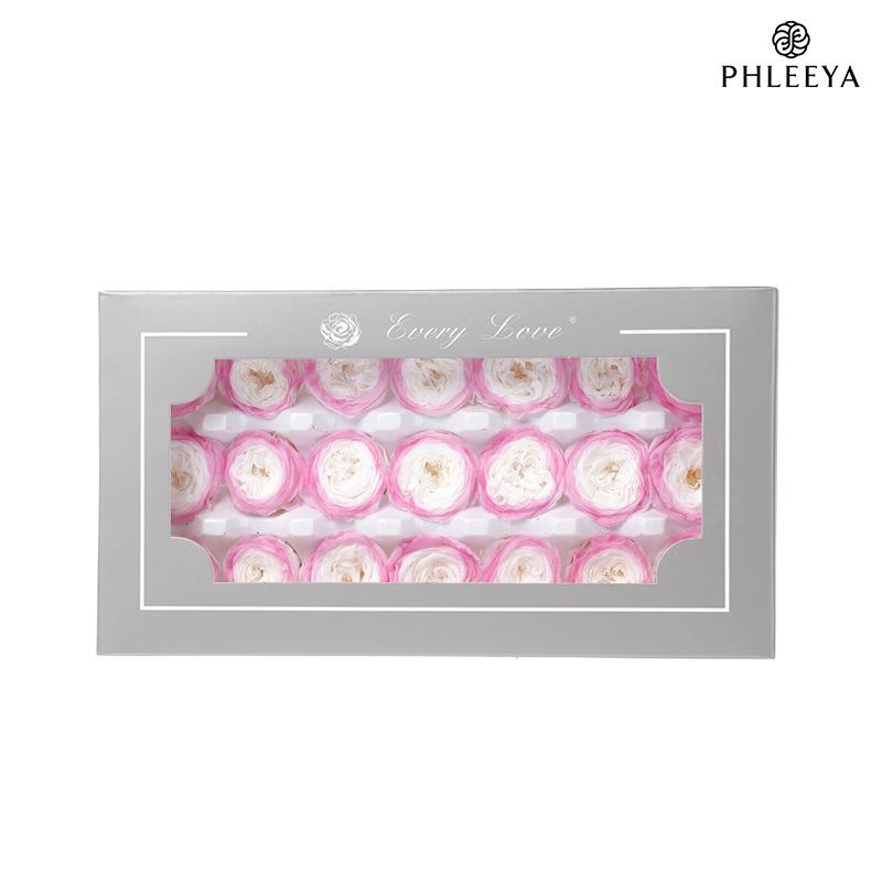 Hoa hồng Austin vĩnh cửu 2–3cm Chocolate Bubble DIY hoa khô (HK-15)