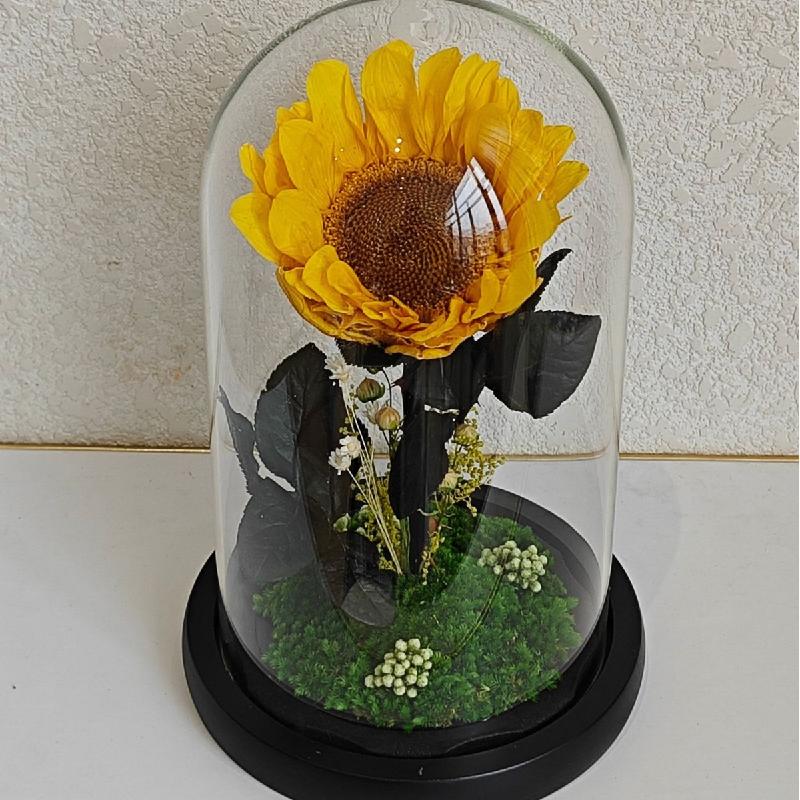 Hoa hồng vĩnh cửu lồng kính Hoàng tử quà Thất Tịch Valentine (HK-28)
