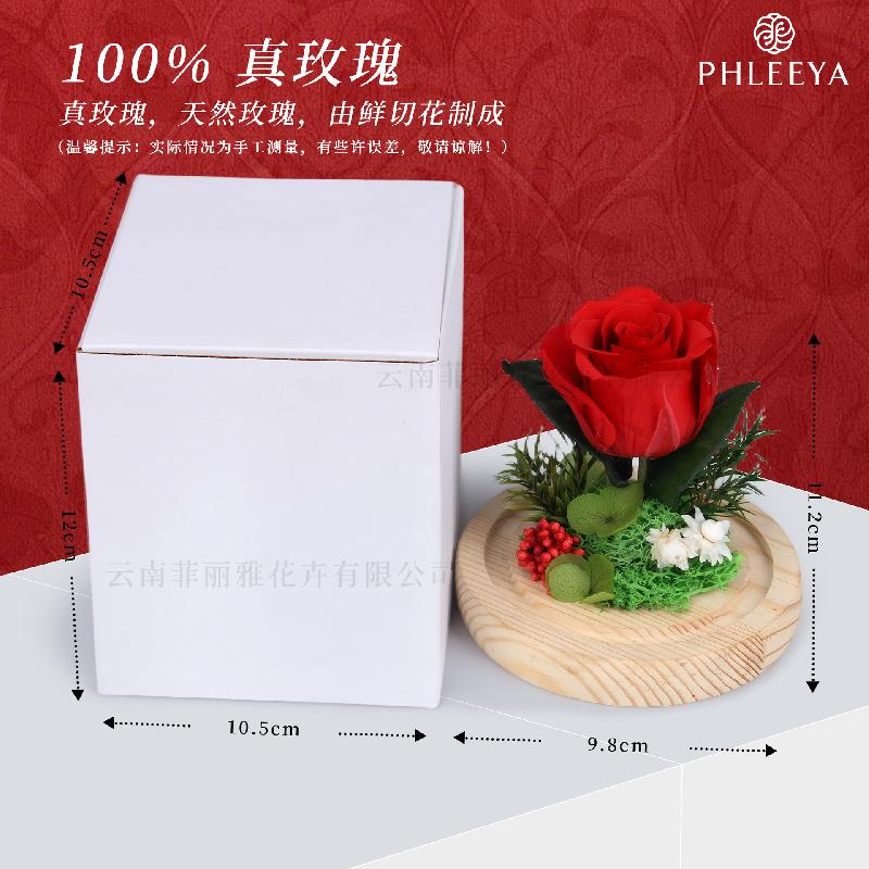 Hoa hồng vĩnh cửu lồng kính mini quà Thất Tịch cao cấp (HK-66)