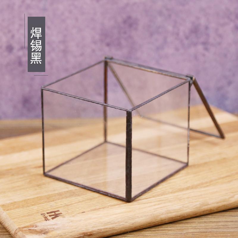 DG-21 Hộp nhỏ cảnh quan của thực vật mọc mịn