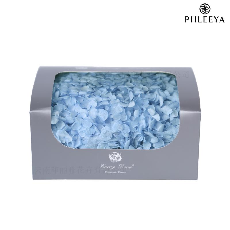 Cẩm tú cầu Anna vĩnh cửu 20g DIY hoa khô trang trí (HK-32)