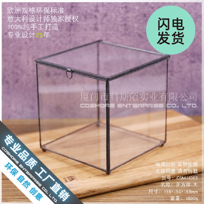 Nhà kính vuông lớn Terrarium (DG-41)