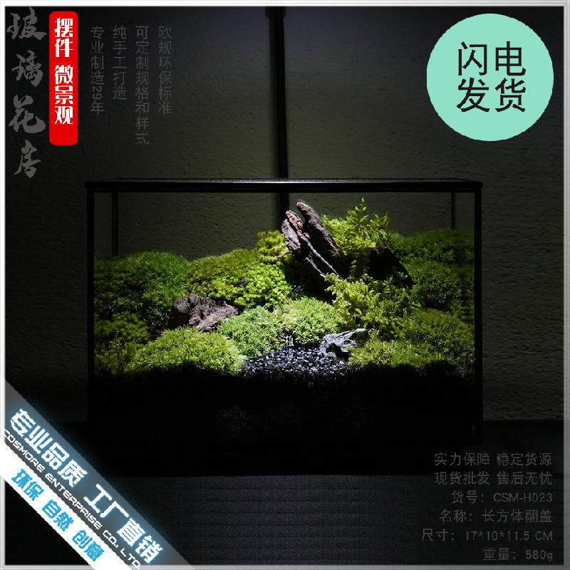 DG-15 Hộp sinh thái táo xiên, phòng kính không định hình, sáng tạo cảnh quan cây cỏ nhỏ