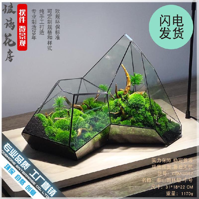 DG-6 Các cảnh quan nhỏ, rừng mây tảo, hình học rừng, tường kính, phòng hoa không đều, chai sinh thái không đều, các hộp cây thực vật nhiều thịt, các hộp cây cỏ nước và các bình hoa