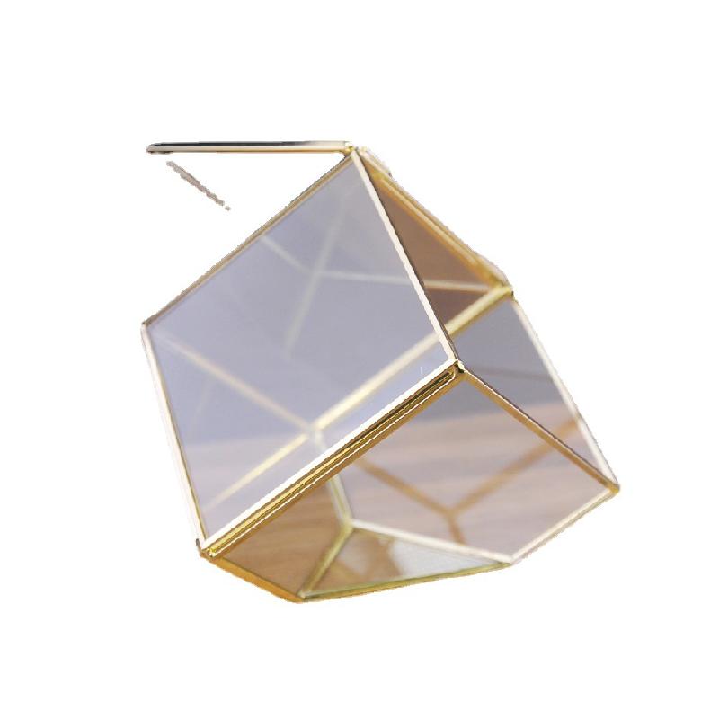 DG-210 Vỏ hộp quà cao cấp bằng kim loại được đổ bạc, có một cạnh dốc, chứa cây thực vật nhiều thịt, thảm mầm, cảnh quan nhỏ trong thể thức kính Hoa bền vĩnh cửu