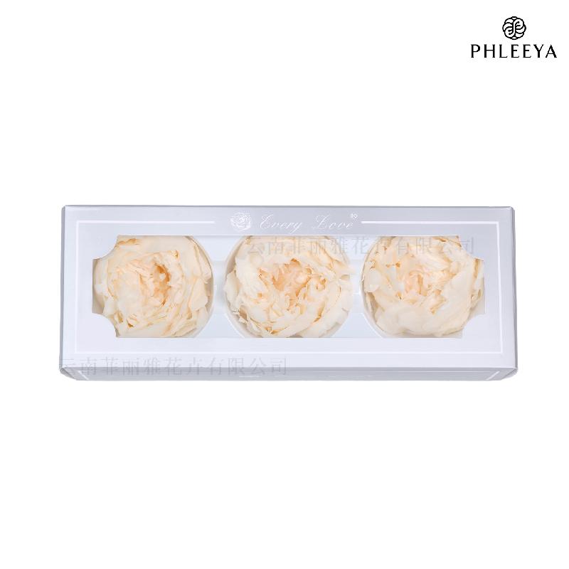 Hoa mẫu đơn vĩnh cửu 7–8cm 3 bông hạng A DIY hoa trang trí (HK-24)