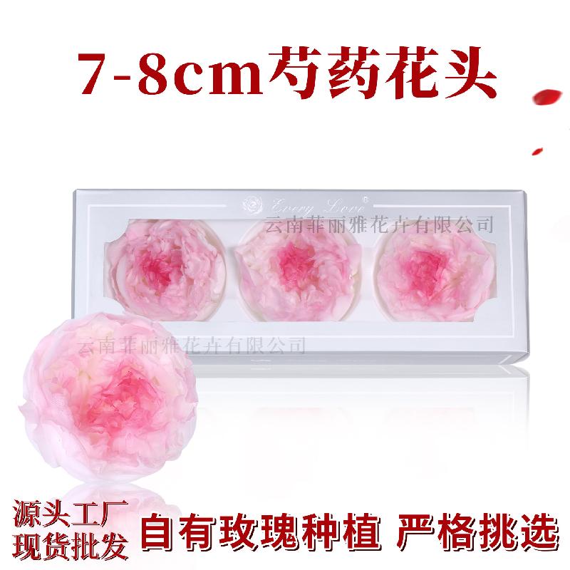 Hoa mẫu đơn vĩnh cửu 7–8cm 3 bông hạng A DIY hoa trang trí (HK-24)