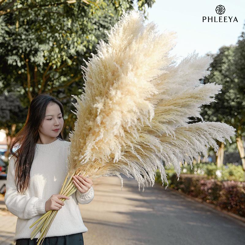 Cỏ lau Pampas khô bó hoa trang trí cưới phong cách châu Âu (HK-61)